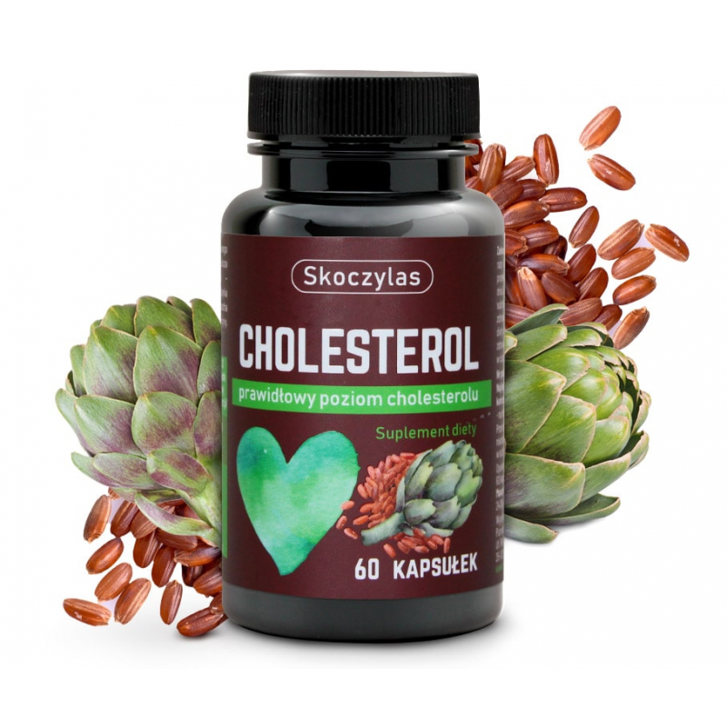Cholesterol 60 kaps.