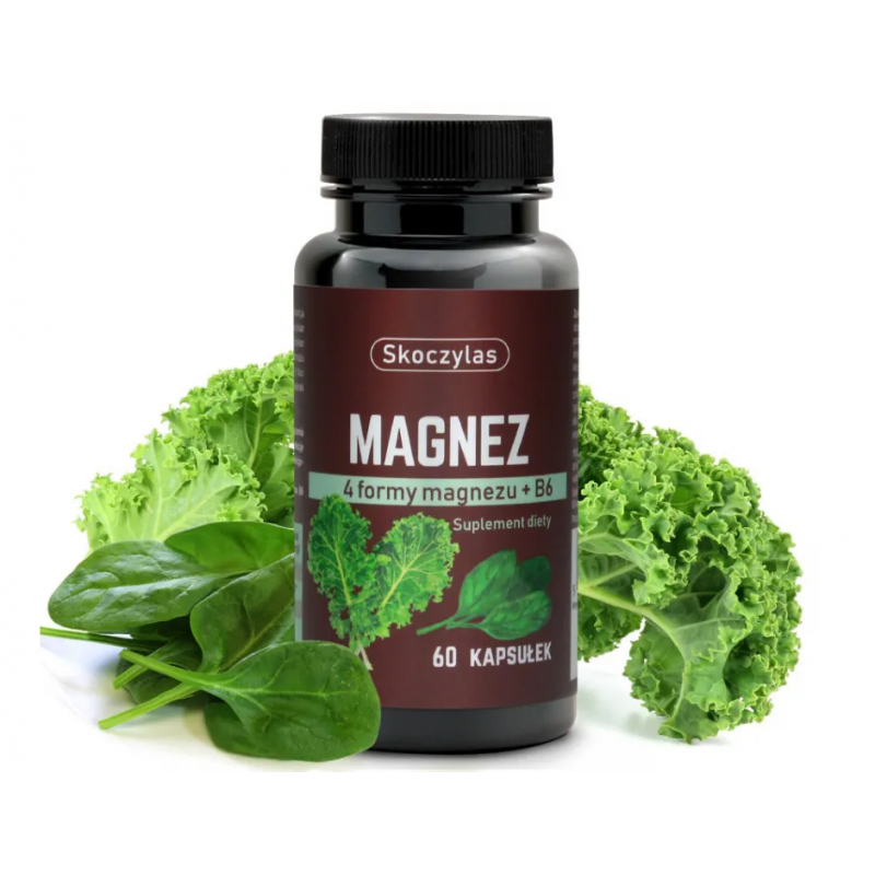 Magnez 4 formy - szpinak, jarmuż 60 kaps. Magnez 4 formy - szpinak, jarmuż 60 kaps.