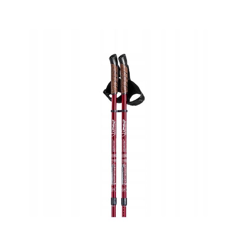 Kijki trekkingowe C004