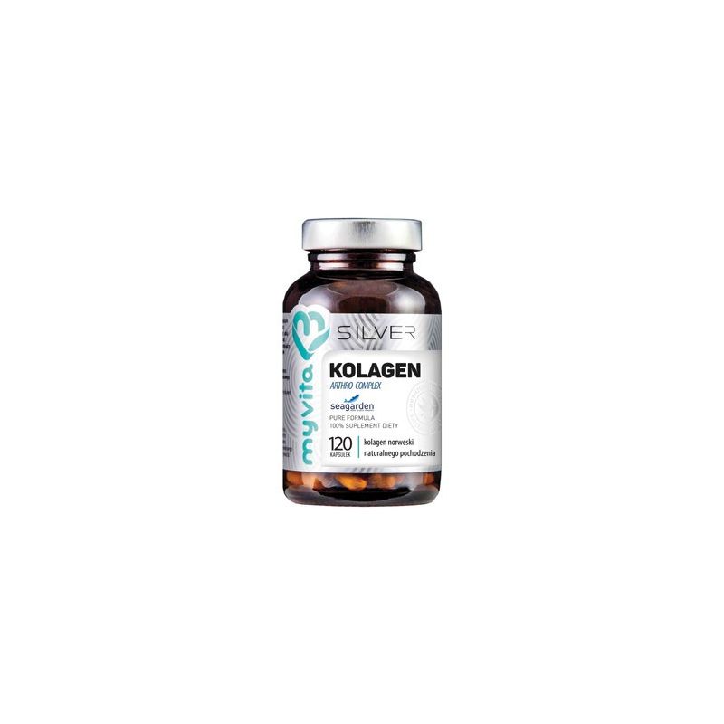 Kolagen Arthro complex 120 kaps. Silver