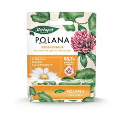 Pomadka do ust regeneracja Polana